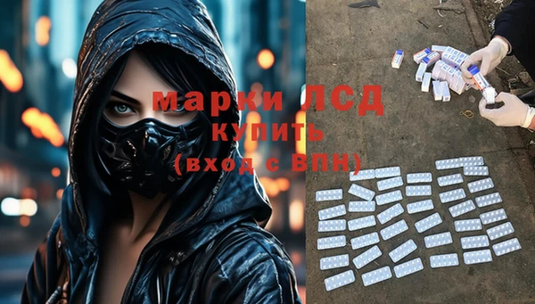 apvp Дмитров