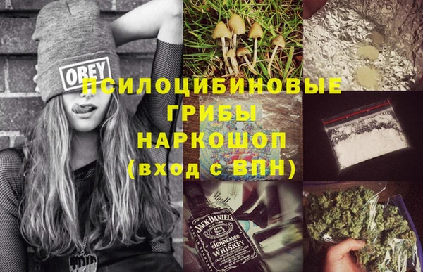 apvp Дмитров
