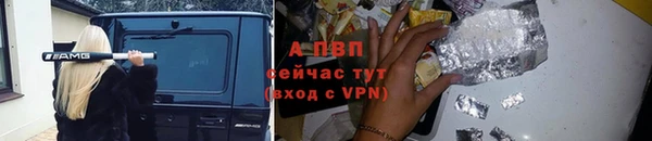 apvp Дмитров