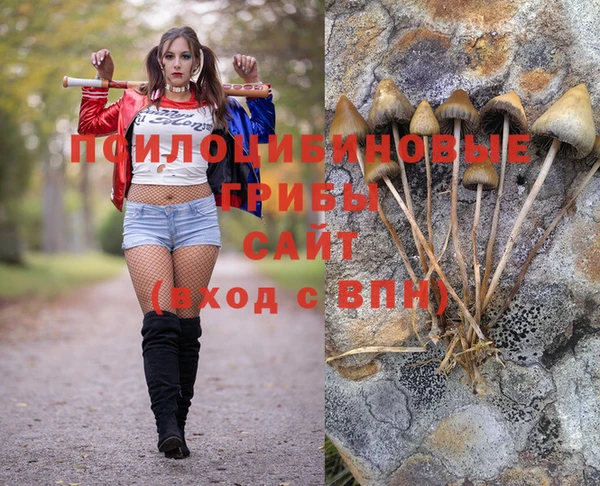 apvp Дмитров