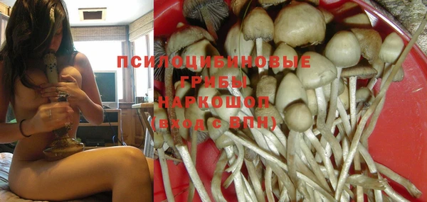 apvp Дмитров