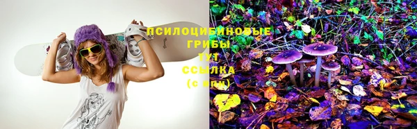 apvp Дмитров