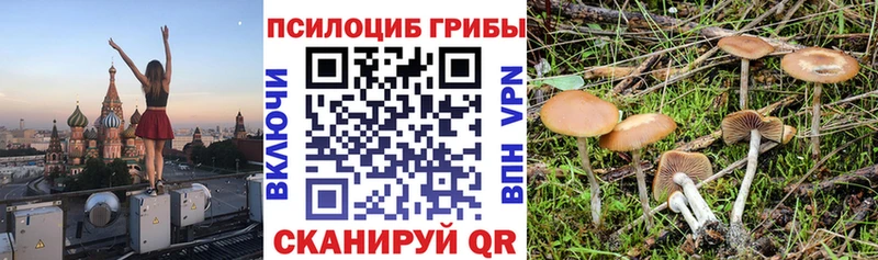 kraken ССЫЛКА  Ивангород  Галлюциногенные грибы Cubensis 